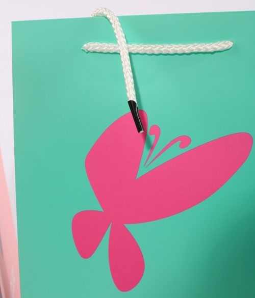 手提(ti)袋/紙袋(dài)